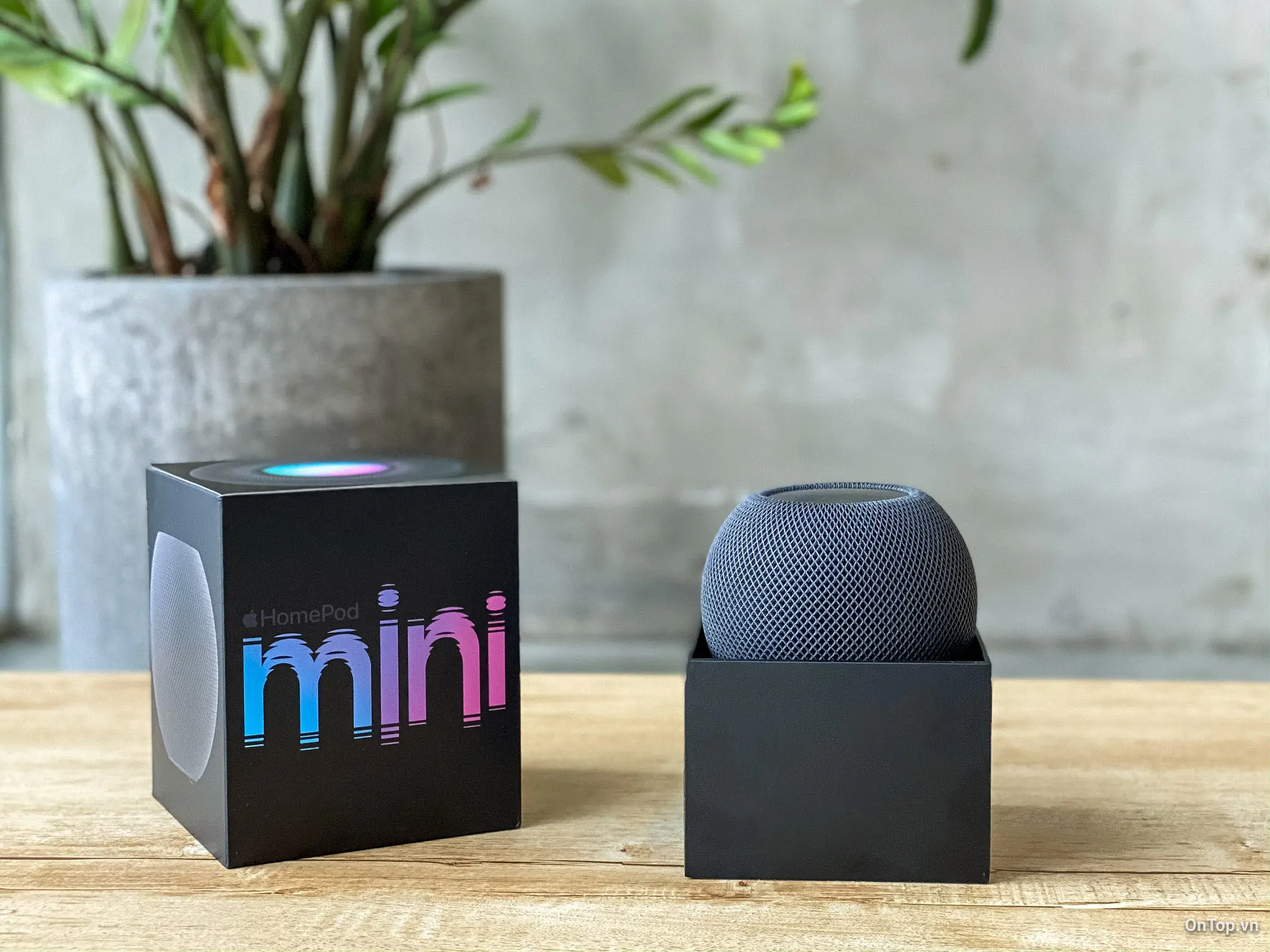 Loa HomePod mini chiếm gần hết không gian bên trong hộp