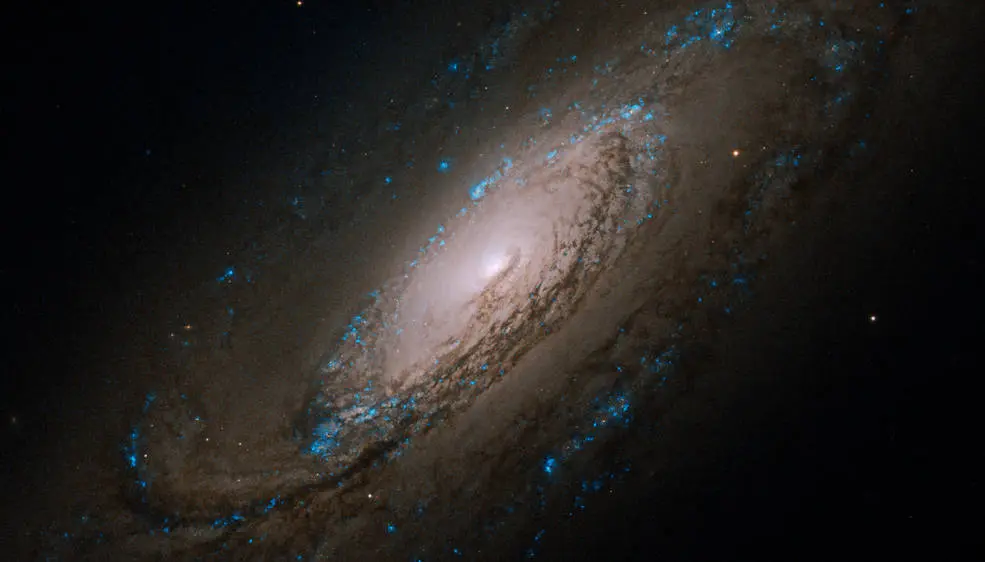 Thiên hà hình xoắn ốc Caldwell 29 (NGC 5005). Ảnh chụp bằng Hubble.