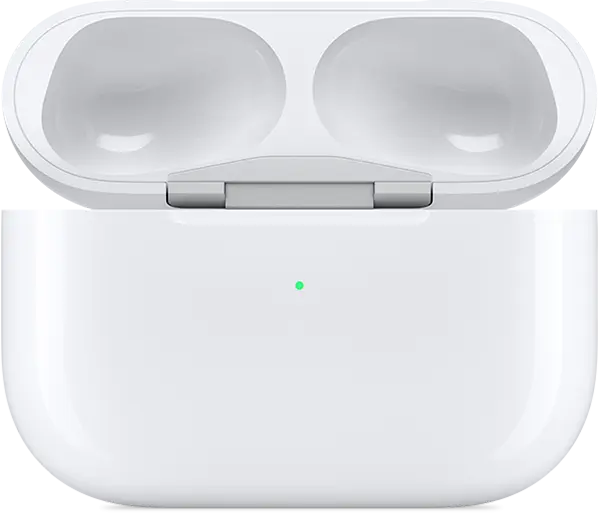 AirPods Pro Charging Case