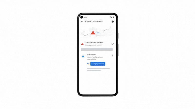 Google Password Manager