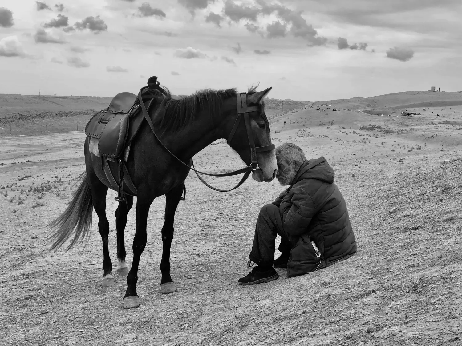 Sharan Shetty - Photographer of the Year - Bonding | Shot on iPhone X