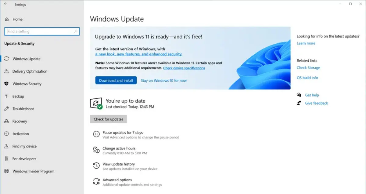 ontop.vn download windows 11 Release Preview 1