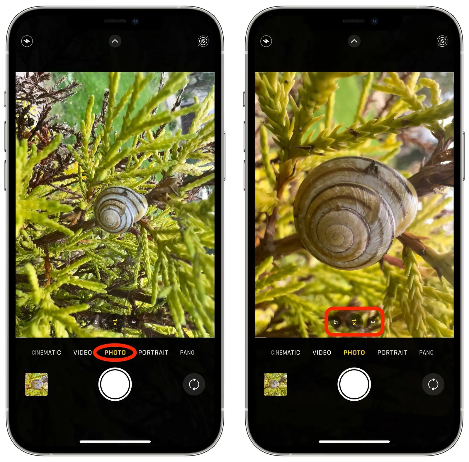 ontop.vn how to shot macro photography on iphone 13 pro ios 15