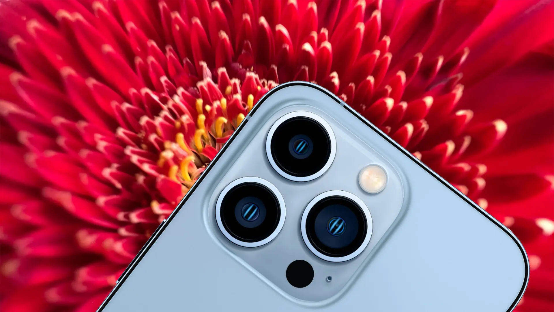 Camera của iPhone 13 Pro tự động chuyển Ultra Wide khi chụp cận cảnh