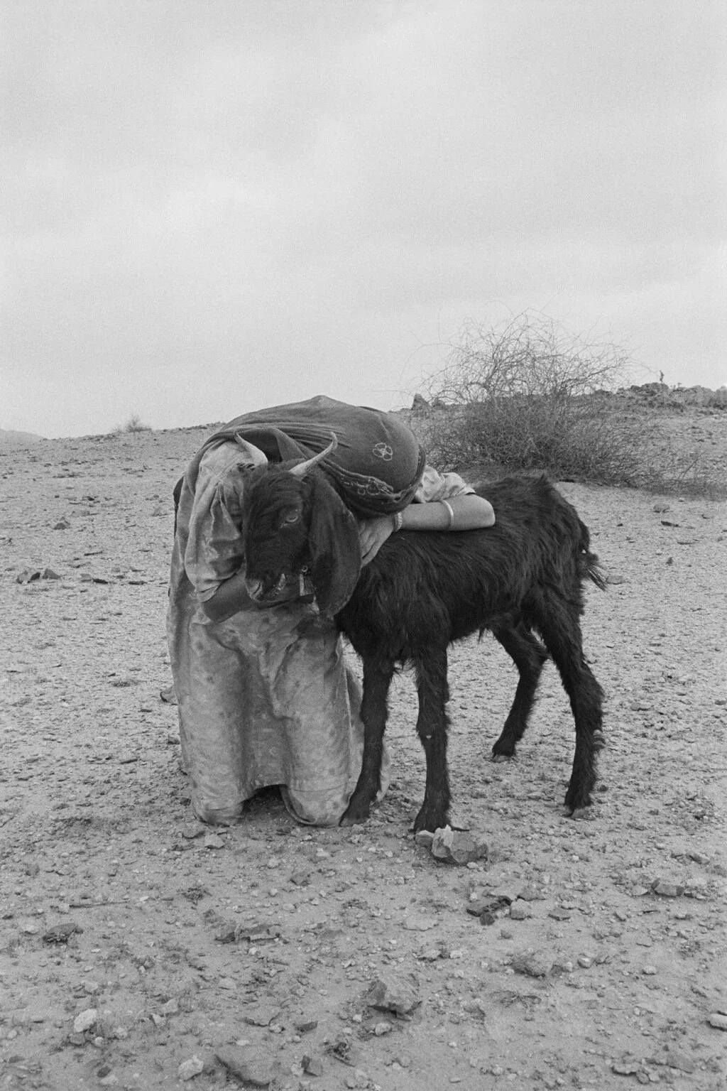 Gauri Gill ‘Sumri daughter of Ismail the shepherd Barmer from the series ‘Notes from the Desert 1999–ongoing 1024x1536 1