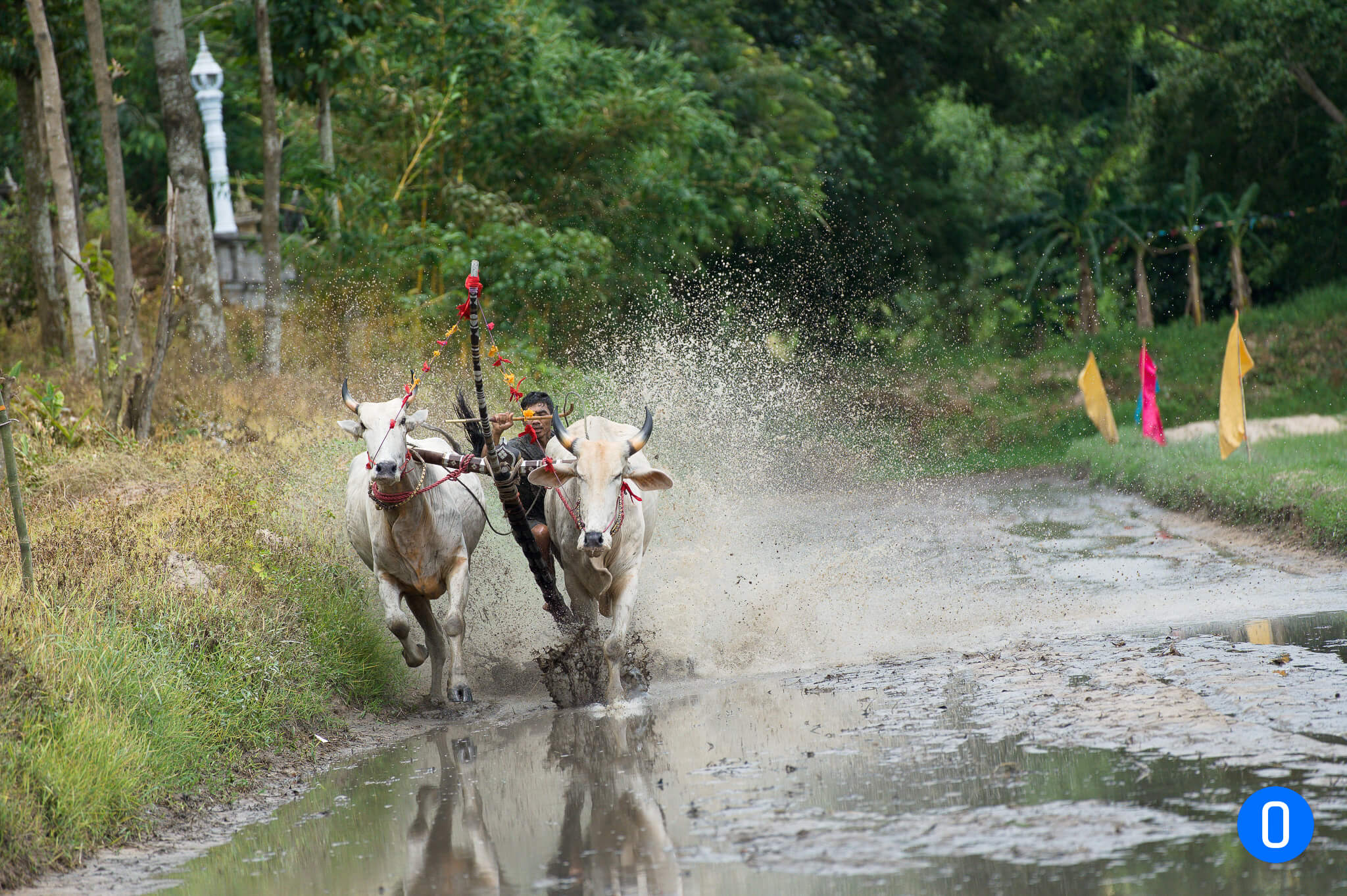 Hand on Sony a7C II Ontop.vn 21