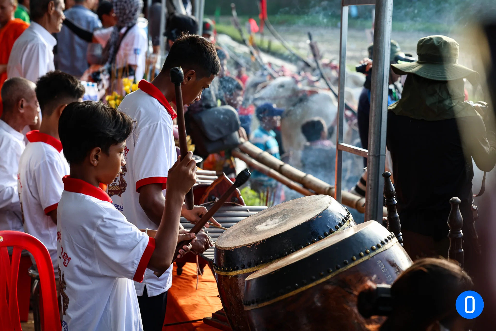 Hình ảnh dua bò ONTOP.vn 28