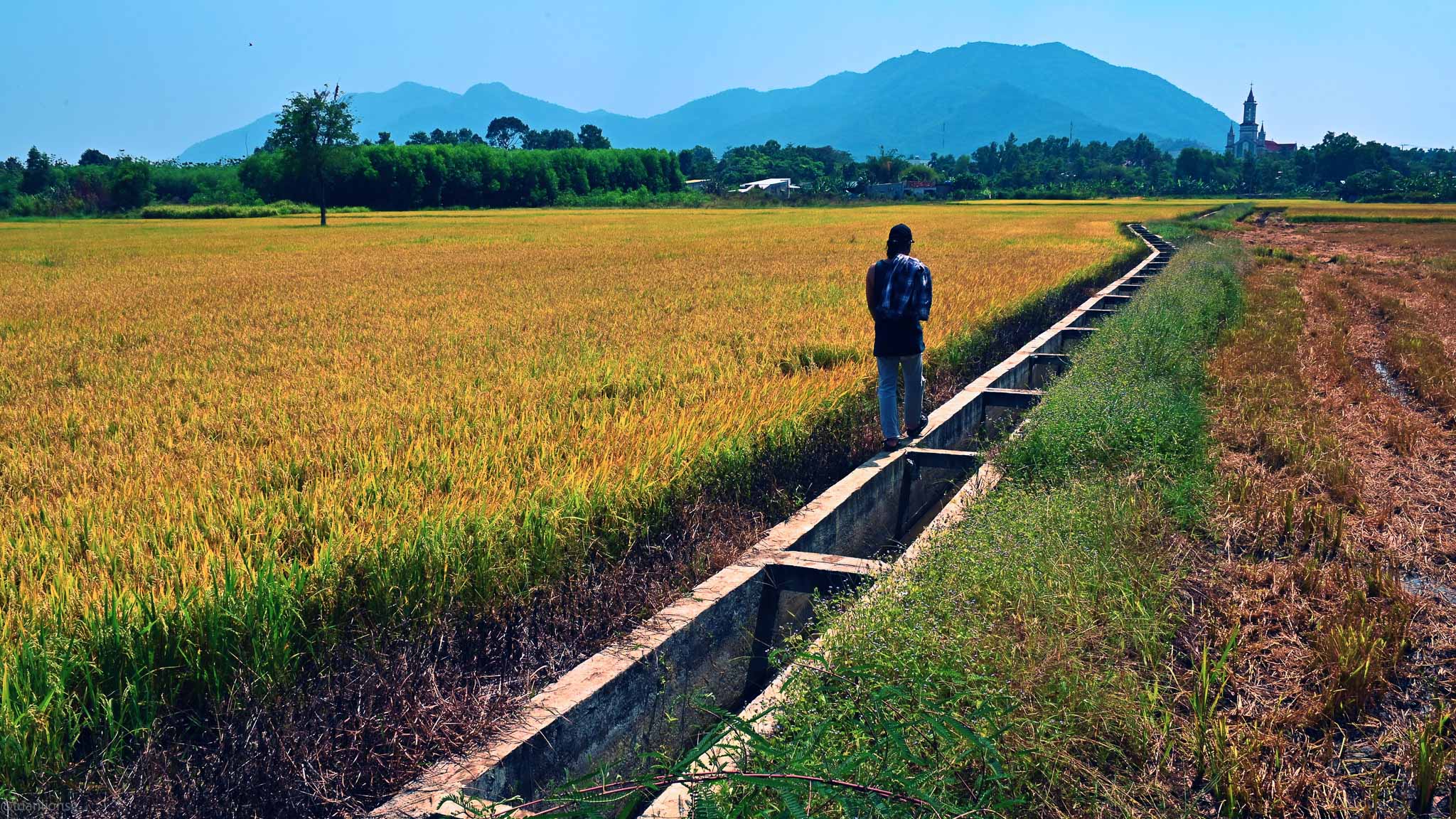 Học chụp ảnh phong cảnh Ontop.vn 1