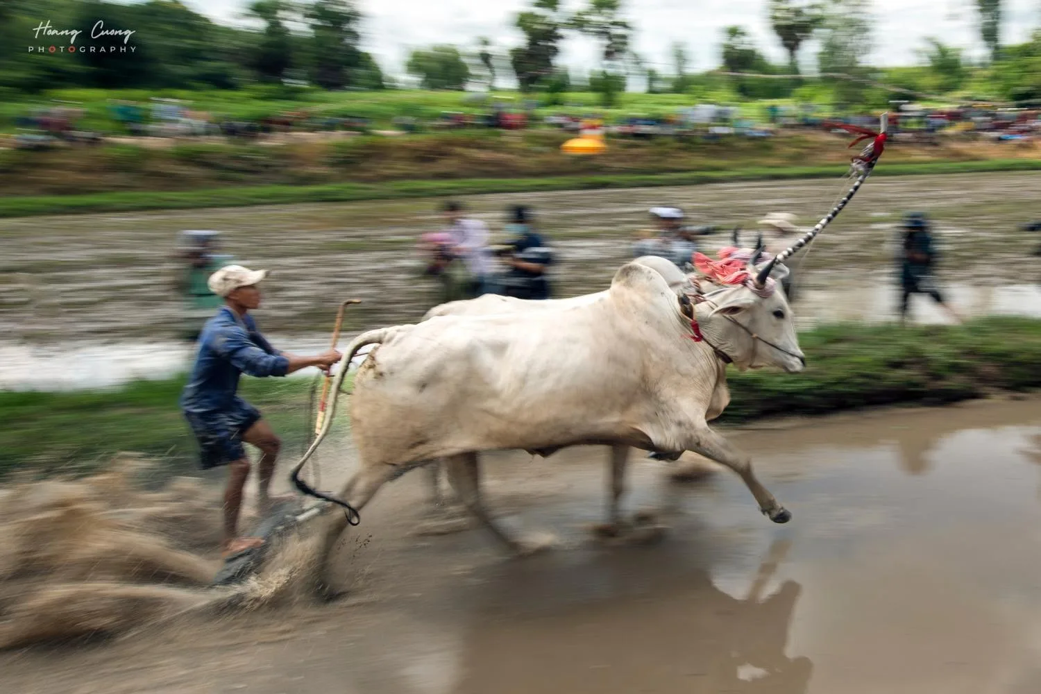 Phạm Hoàng Cương 2