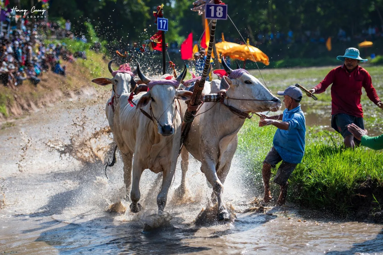 Phạm Hoàng Cương 3