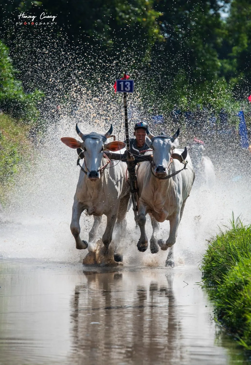 Phạm Hoàng Cương 5