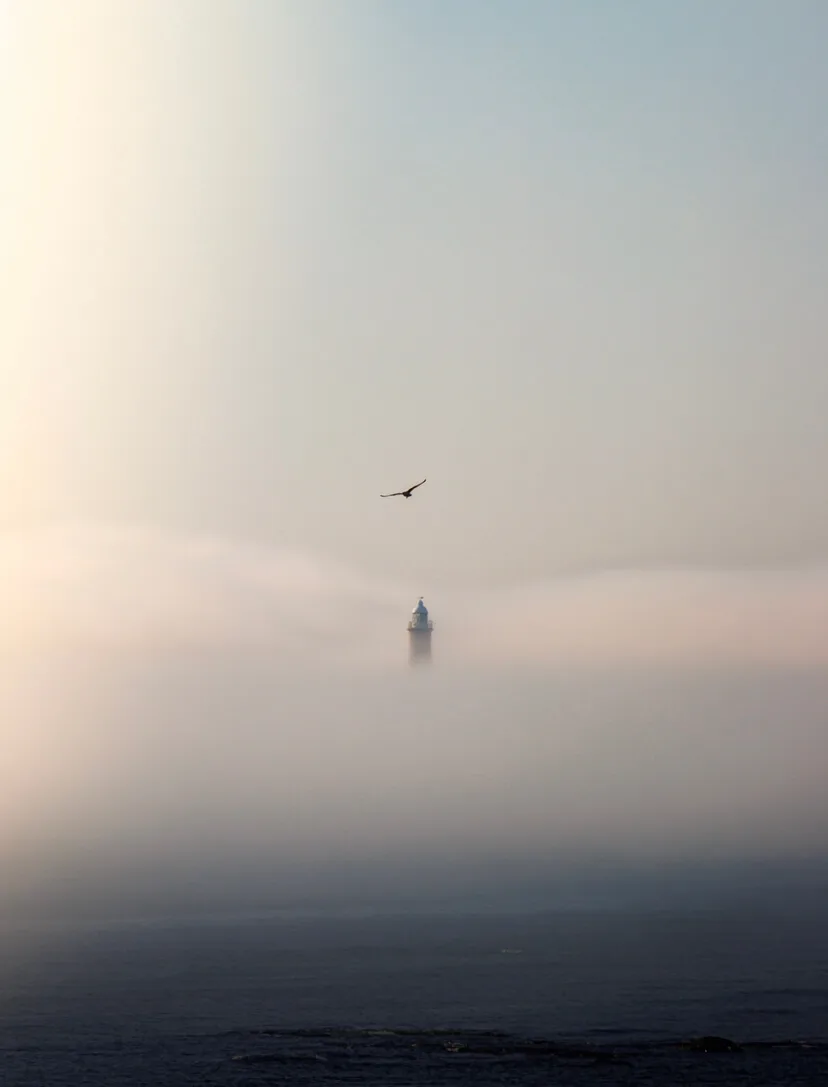 Rachel Riley Fog on the Tyne