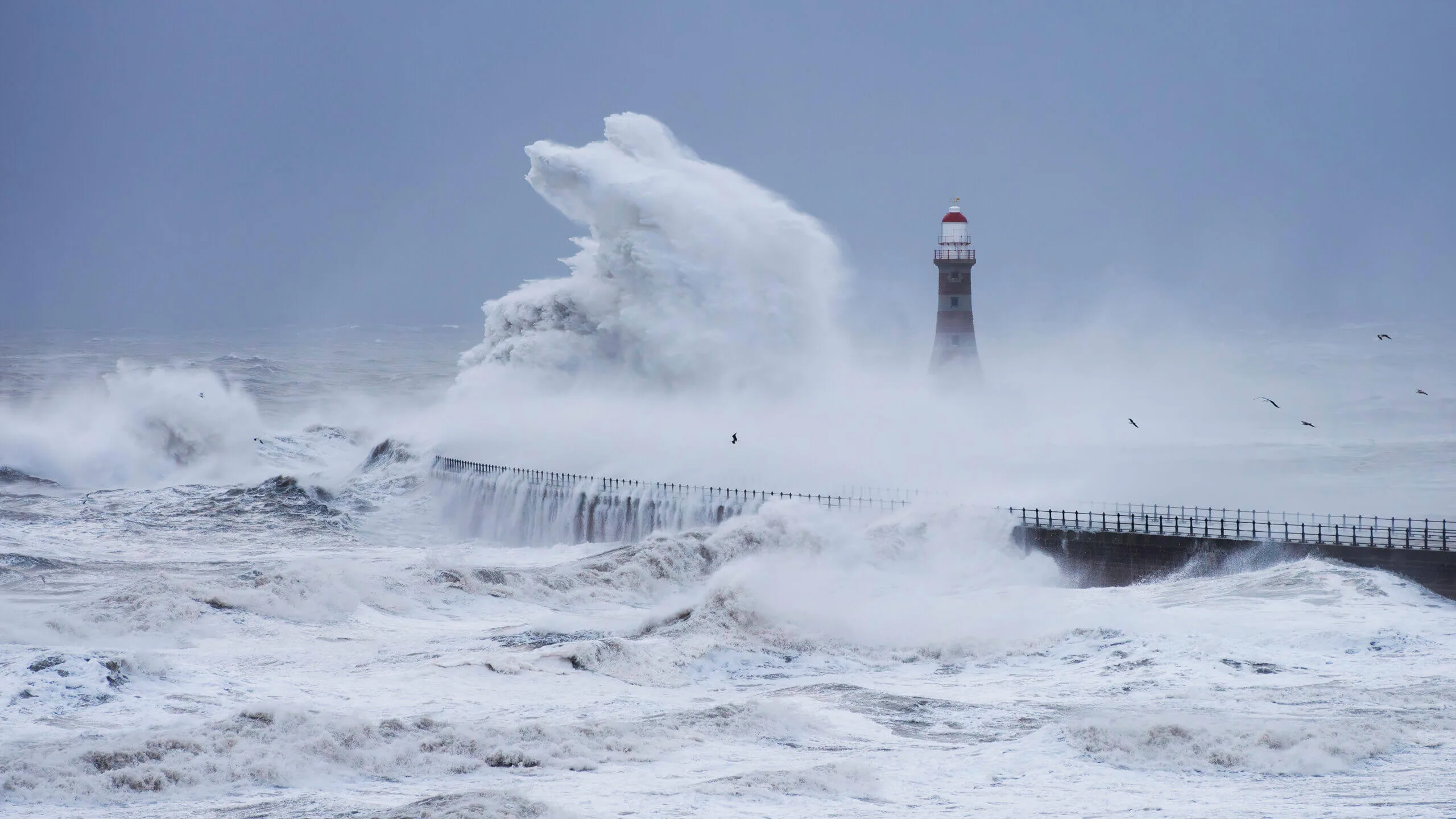 Scott Wynne Any Port in a Storm scaled 1