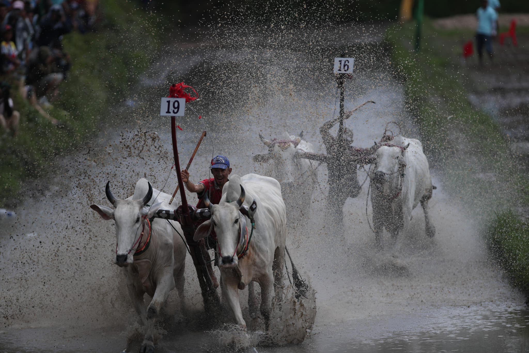 Thi ảnh Marathon Dua bò chùa rô lần ix 11