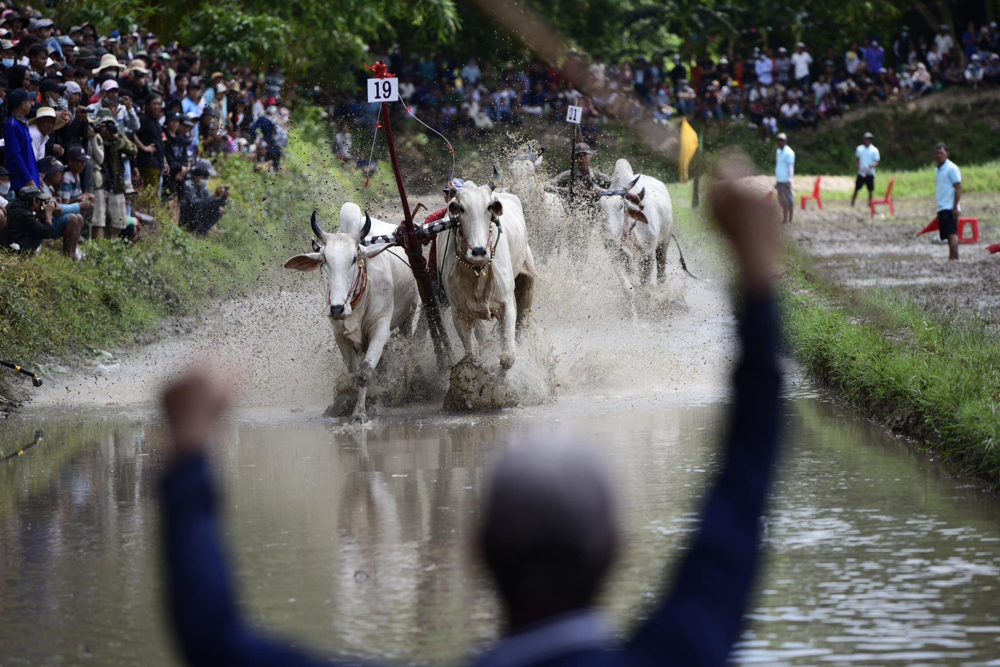 Thi ảnh Marathon Dua bò chùa rô lần ix 15