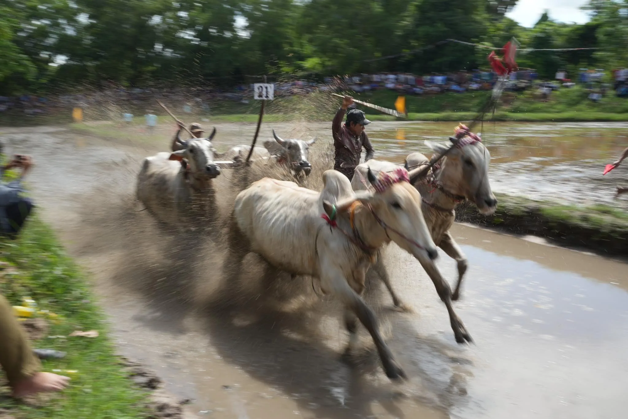 Thi ảnh Marathon Dua bò chùa rô lần ix 8