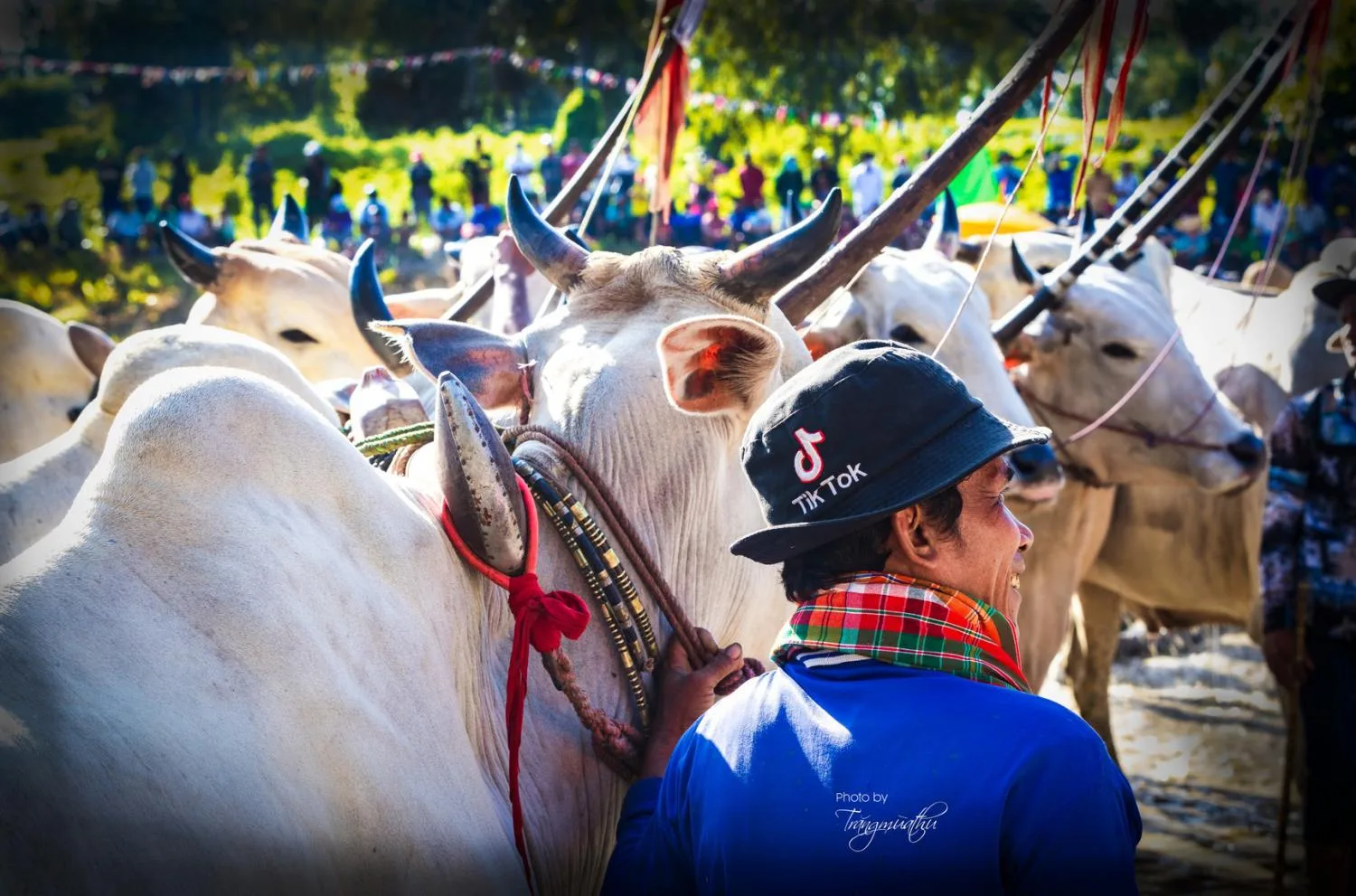 Trăng mùa thu