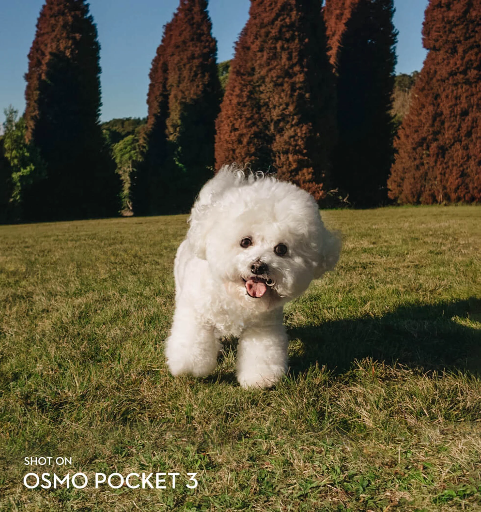 Hình ảnh chụp bằng DJI Osmo Pocket 3 ONTOP.vn 6