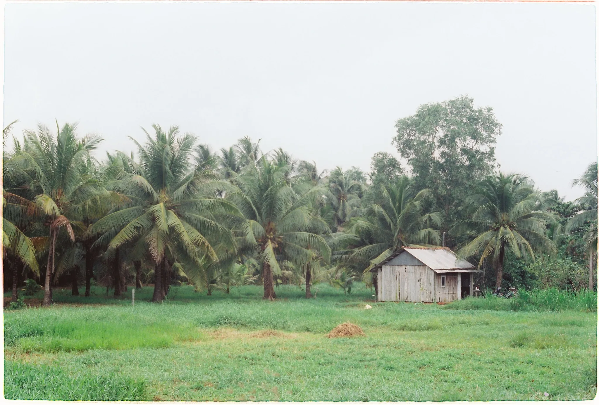 Thực hành chụp ảnh ONTOP.vn 11