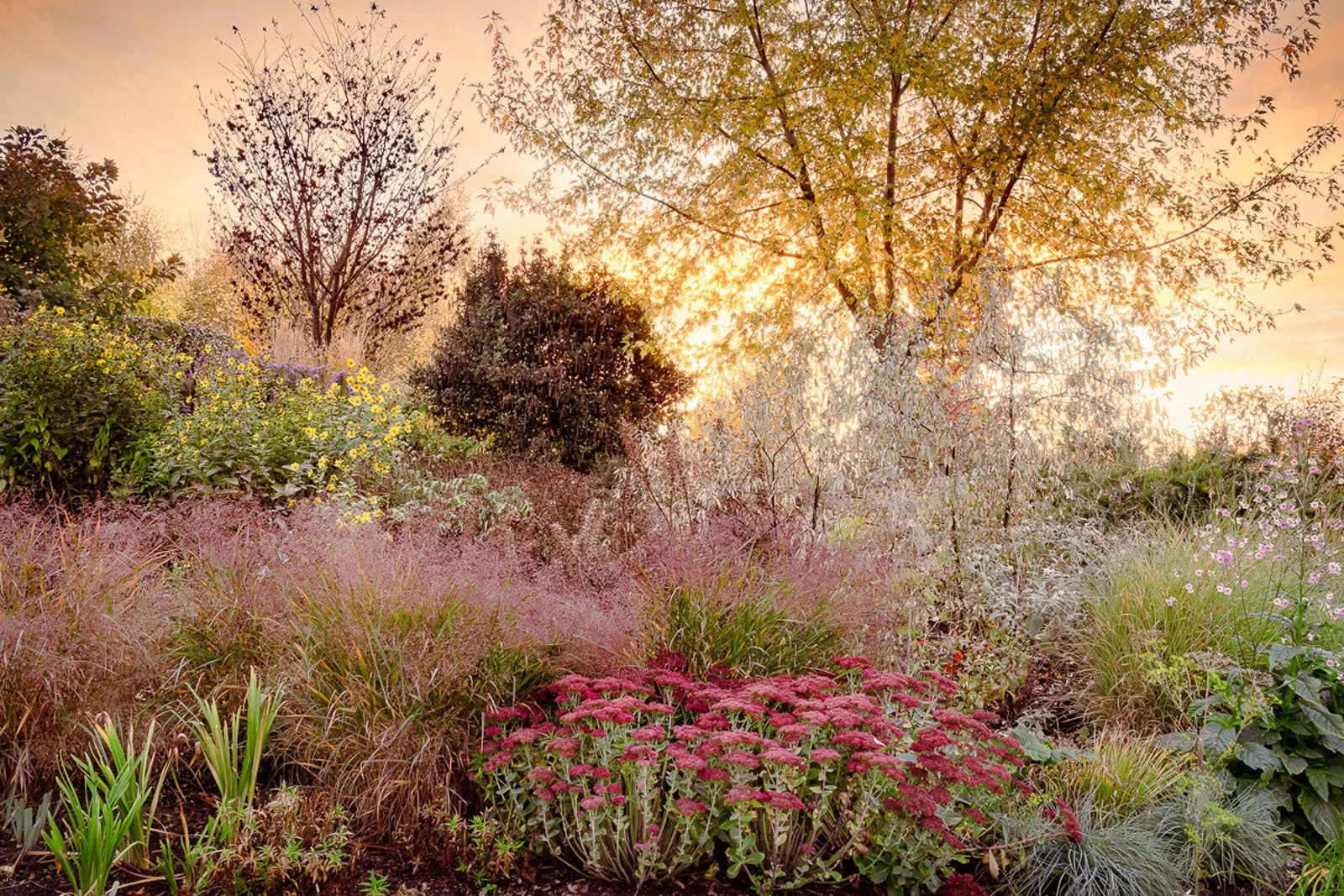 Annie Green Armytage 446673 beautiful gardens