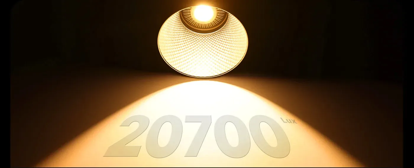 04 019d00ed 48ae 49d4 b4ce 361c7ea39ca5.webp