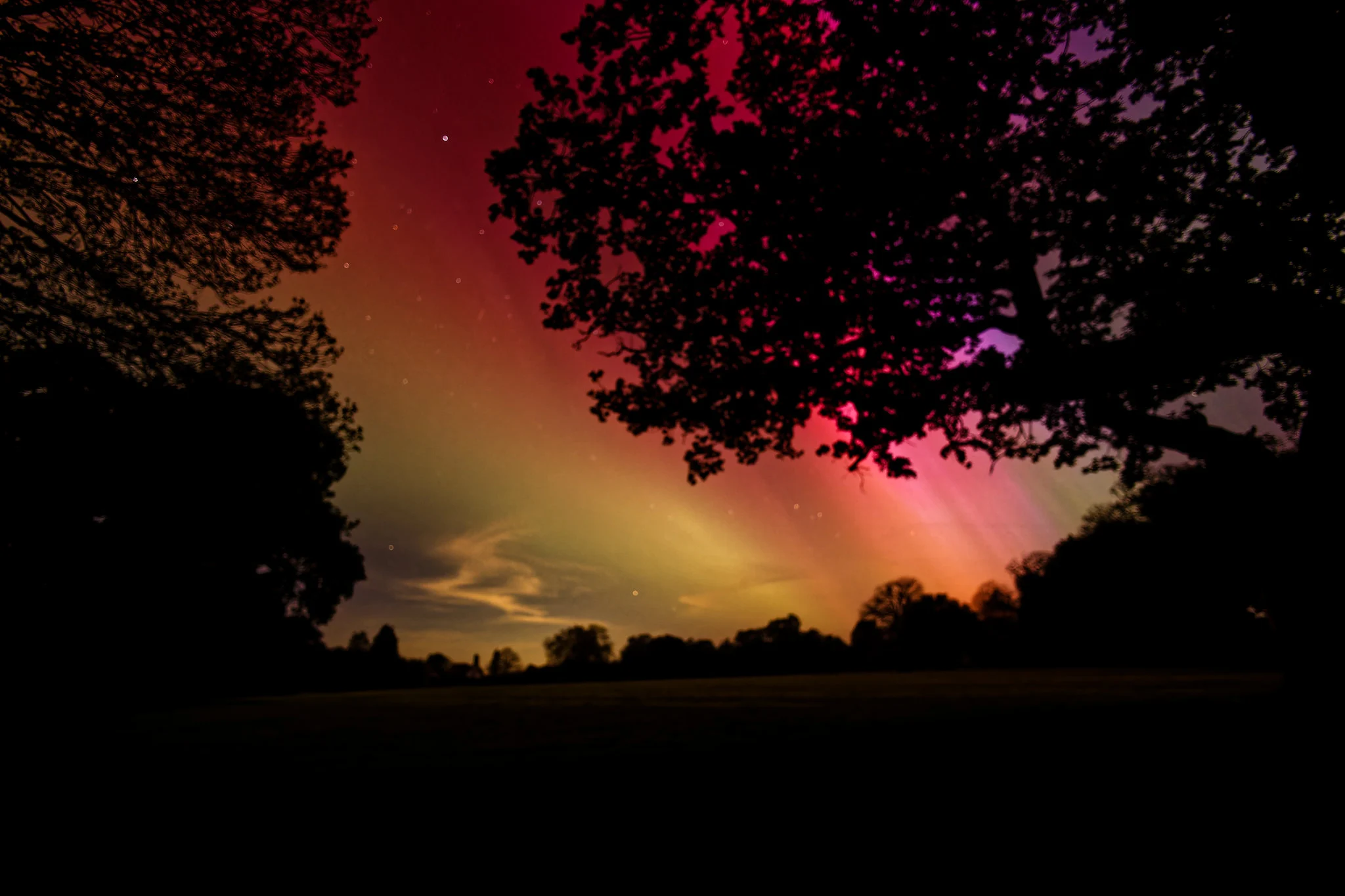 Adam Allen Suffolk2