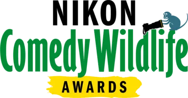 Nikon Comedy Wildlife Awards.webp