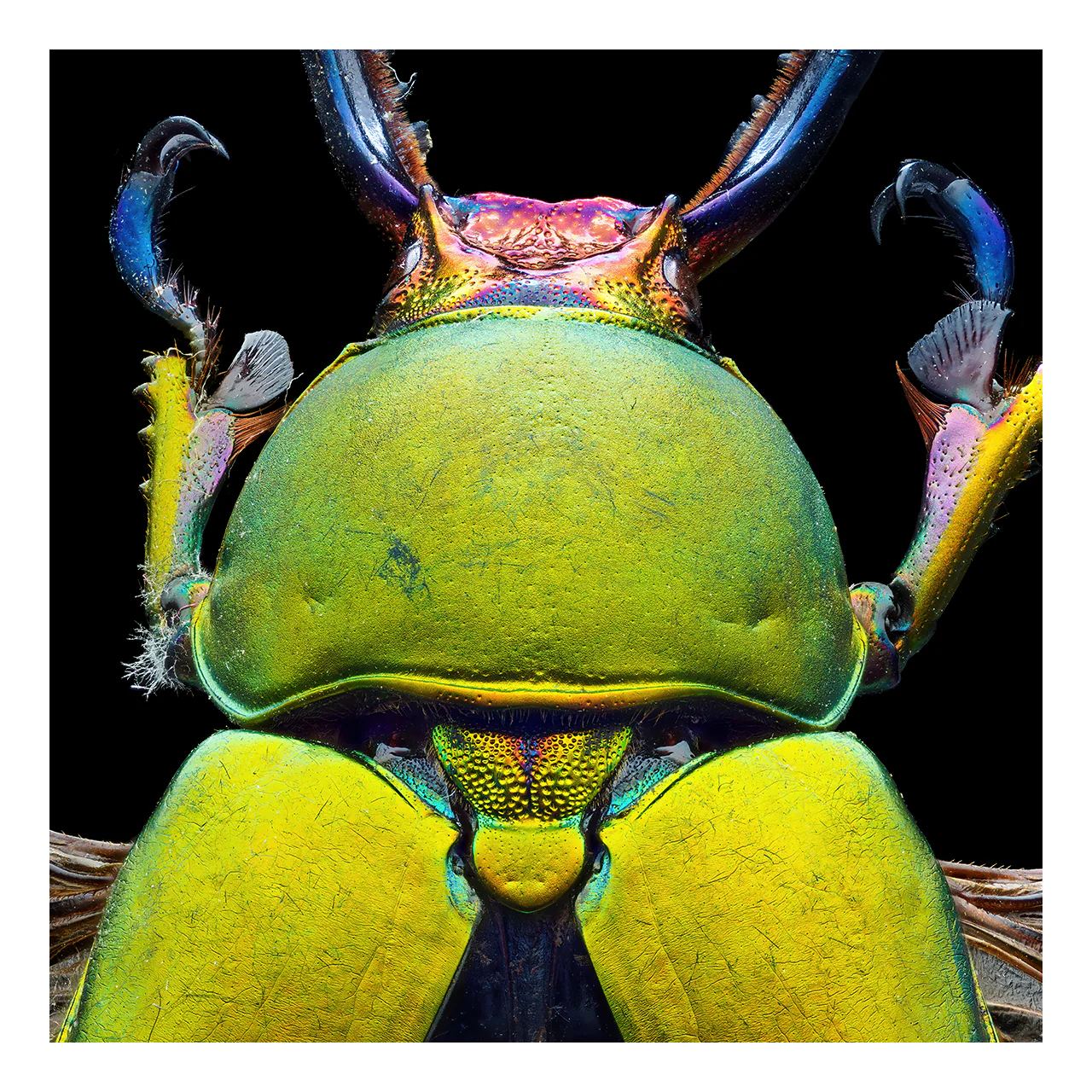 2 fd1e54af 6b8d 463d bfed 2d71014c8e11.png